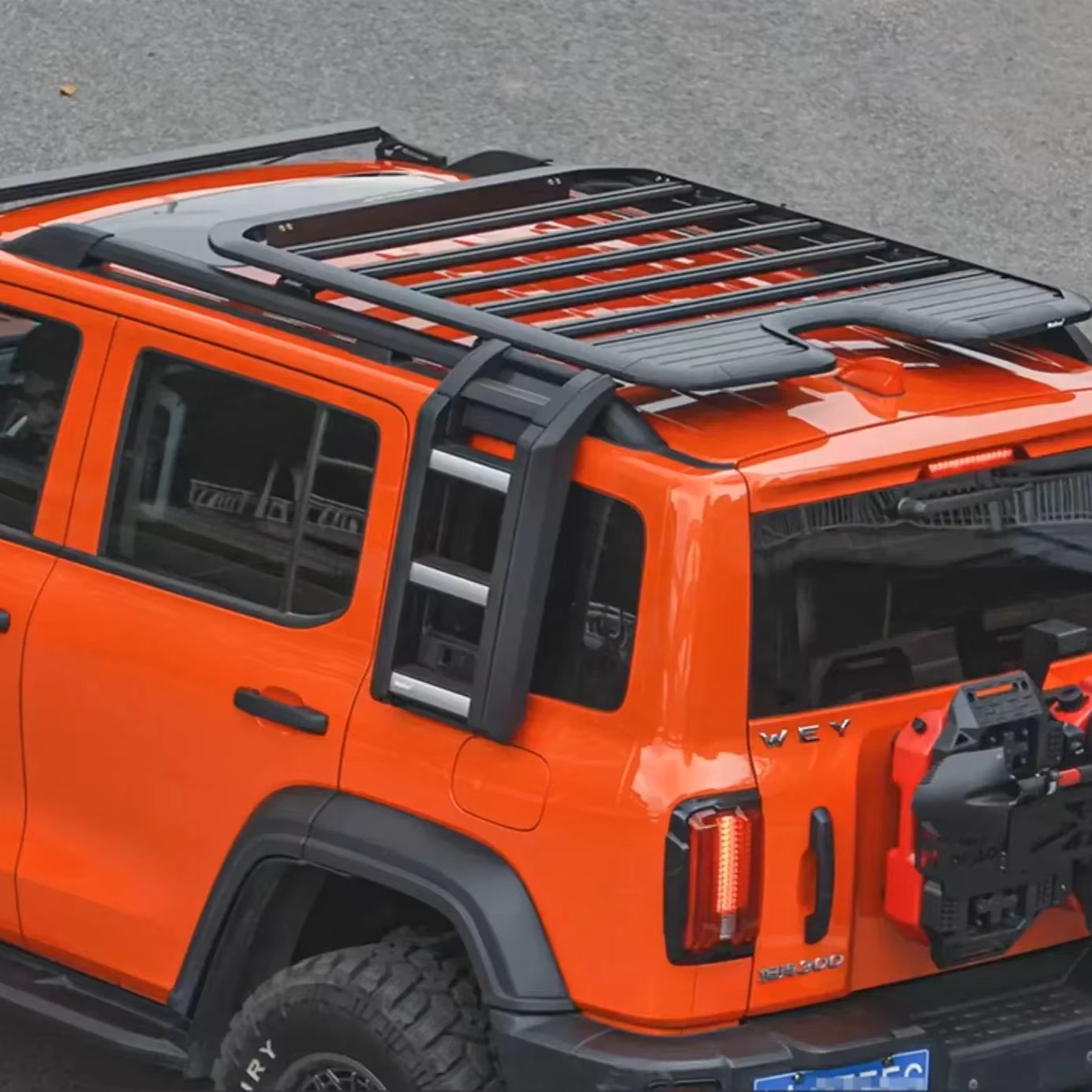 Ladder and Roof Rack